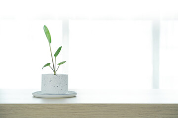 Modern houseplants in a terrazzo pot on wooden table. Minimal creative home decor concept, Small indoor plants for apartment living.