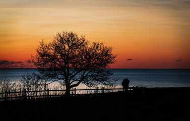 Silhouette of a couple overlooking ocean at sunset.