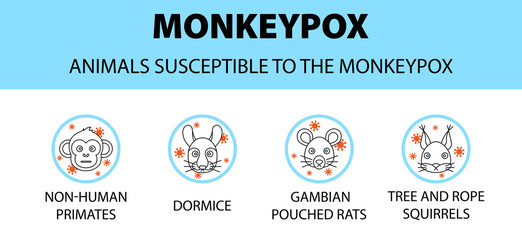 Monkeypox virus animals susceptible icons infographic. New outbreak cases in Europe and USA.