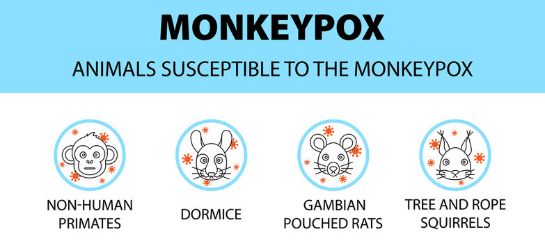 Monkeypox virus animals susceptible icons infographic. New outbreak cases in Europe and USA.