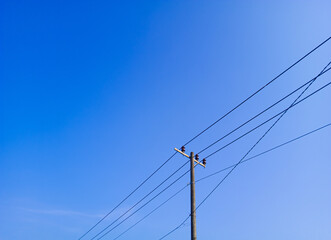 electric pole in a minimalist composition on a bright blue sky with empty space to enter text