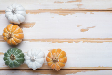 pumpkins on a wooden white background of boards, copy space for text