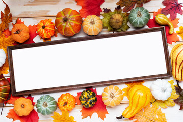 Naklejka na ściany i meble Autumn composition. Thanksgiving holiday concept. Photo frame, pumpkins on a white background.