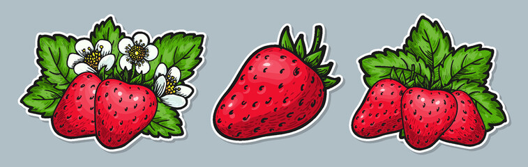 Strawberry stickers. Hand drawn tag whole red berries leaves flowers. Farmers market badges for organic fruit product, healthy food, juice smoothie cocktail. Cartoon comic sticker with white contour