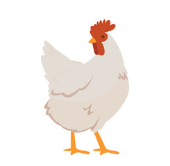 Cute rooster icon