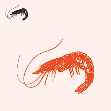 RED SEA SHRIMP LOGO, silhouette of great shrimp fish vector illustrations