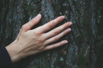Young woman hand touching old tree bark, protect and love nature, green eco-friendly lifestyle, forest background