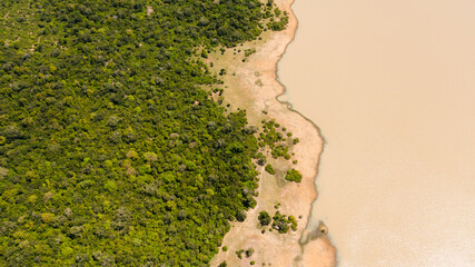 Aerial view of lake with a wild animal surrounded by jungle and tropical vegetation. Sri Lanka.