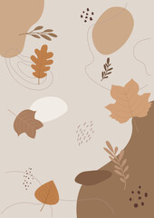 Vector illustration of autumn plants.