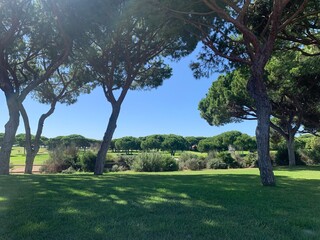 Obraz premium Algarve mar paisaje playa