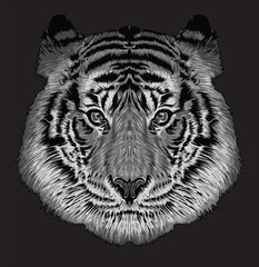 tiger head isolated on black background for poster, t-shirt print, business element, social media content, blog, sticker, vlog, and card. vector illustration.