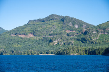 Logged forests on Vancouver Island.