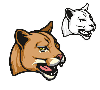Angry puma cartoon animal mascot. Roaring american mountain lion wild cat head. School sport team puma mascot, mountain lion animal vector tattoo
