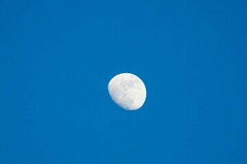 lonly silver crescent moon in a blue sky
