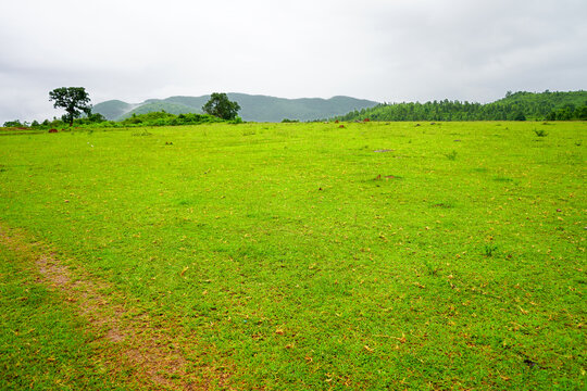 Greenary Mountain Valley of Daringbadi in Odisha