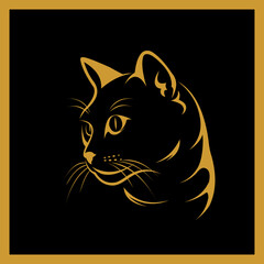 black cat on dark background

