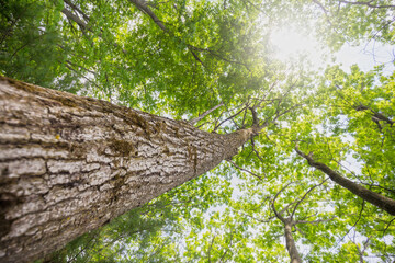 Oka National Park Quebec Canada