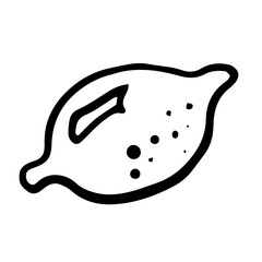 Lemon icon Vector illustration on white background