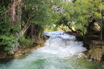 waterfall in the forest