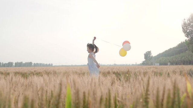 Little girl playing with balloons in wheat field,HD