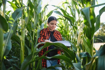 Young female farmer working in the field and checking plants, agriculture and healthy living concept