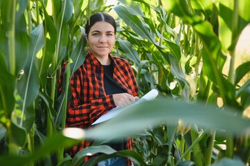 Agronomist farmer woman in corn field. female farm worker analyzing crop development.