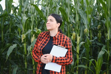 woman farmer in a field of corn cobs