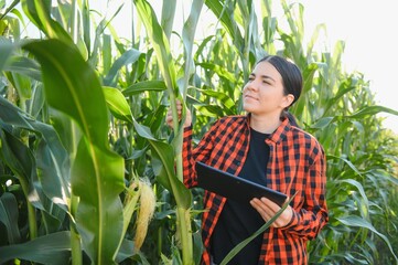 Smart woman farmer agronomist using digital tablet for examining and inspecting quality control of produce corn crop. Modern technologies in agriculture management and agribusiness.