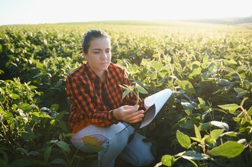 A female farmer in soybean field