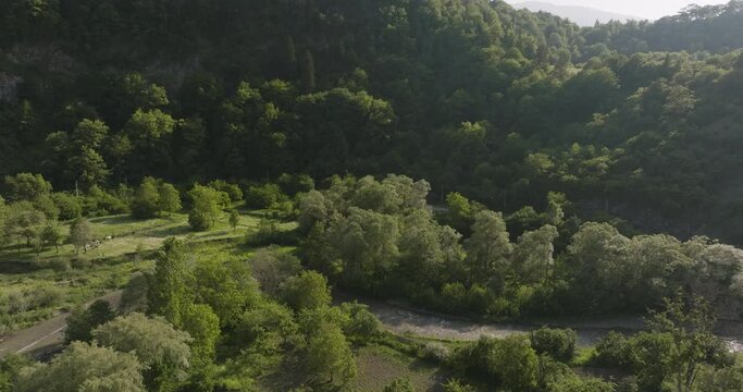 Verdant Trees Growing In The Banks Of Gujaretistskali River at Summer In Daba, Georgia. - aerial