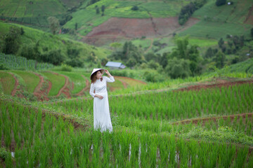 Asian beautiful woman with terraced green rice fields at Ban pa pong piang rice terraces of Chiang Mai, Thailand