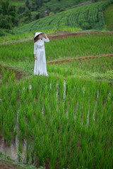 Asian beautiful woman with terraced green rice fields at Ban pa pong piang rice terraces of Chiang Mai, Thailand