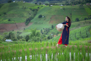 Asian beautiful woman with terraced green rice fields at Ban pa pong piang rice terraces of Chiang Mai, Thailand
