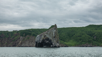 A picturesque cliff in the Pacific Ocean. Bird nesting sites on rocky slopes. Green coastal hills against a cloudy sky. Kamchatka. Avacha Bay