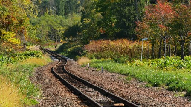 比羅夫駅から見る秋の鉄道風景