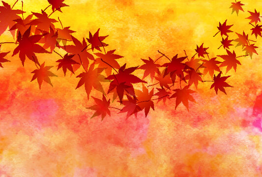 紅葉　もみじ　秋　背景