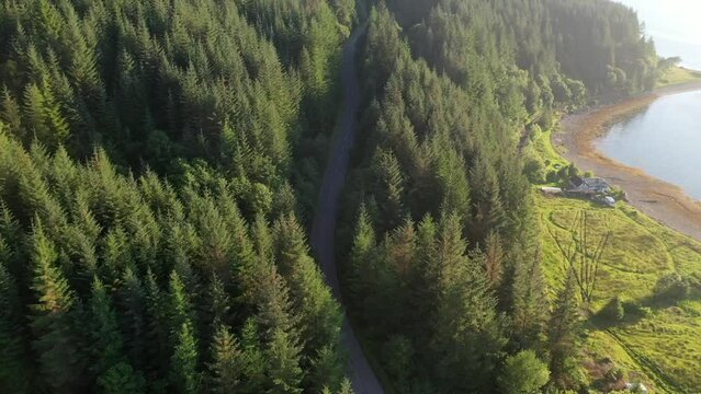 Stunning drone shot following a car driving along a lush green woodland road in northern Scotland. There is a loch to the right and the scenery is beautiful.