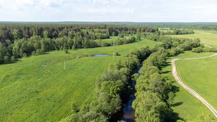 field road along the river in a green meadow in summer on a sunny day