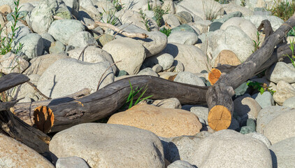 dry sun-bleached sticks lie on the stones