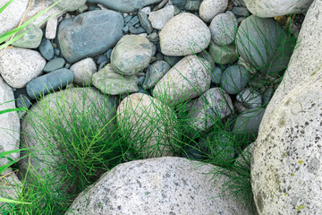 Fototapeta na wymiar white rounded stones with sparse grass
