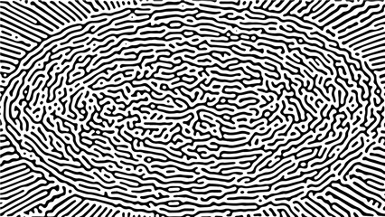 Fototapeta premium black and white geometric texture, grafic pattern for fabric, tile or backgroun