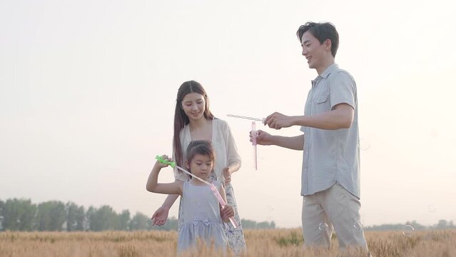 Happy young family blowing bubbles in wheat field,4K