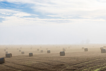 Morning fog on a field with hay bales