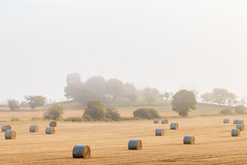 Misty landscape view with bales on a field