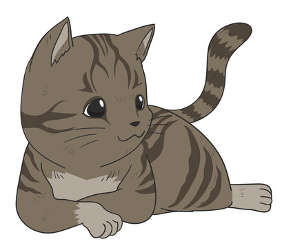 Sleep Cat Illustration