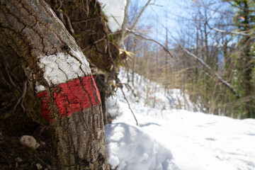CAI signs and hiker in the snow