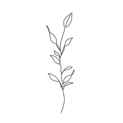 Line Art Leaves Branch Silhouette Black Sketch on White Background. One Line Beautiful Plant with Leaves. Floral Minimalistic Vector Illustration.