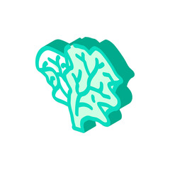 lichty salad isometric icon vector. lichty salad sign. isolated symbol illustration