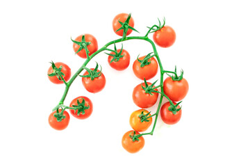 Delicious and rich tomatoes on a branch with drops of water, isolated on a white background. Agricultural harvest and daily healthy food
