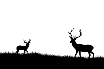 silhouette of a deer